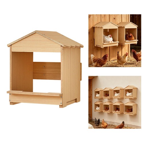 Poulailler nid pour poules - pour,