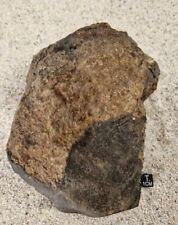 Meteorite NWA 17254 Chondrite L6