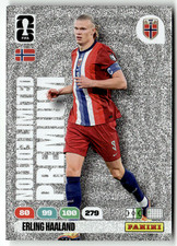 Panini FIFA World Cup