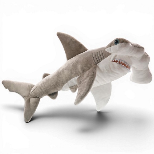 Carl dick requin - dick, requin-marteau