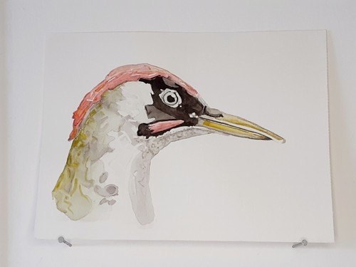 Pivert aquarelle originale - aquarelle,