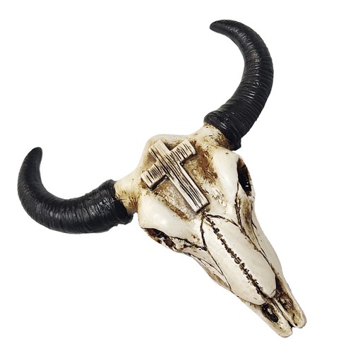 Cow head skull - head, wall