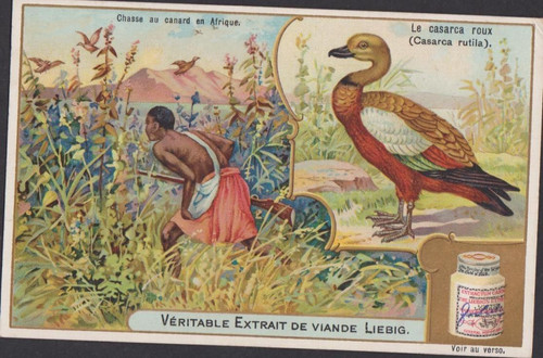 Chromo ancien liebig - chromo, le