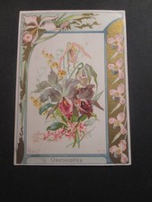 HACHETTE - Fleurs - orchidees