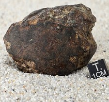 Meteorite NWA 17114 Chondrite