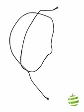 Cable caméra Webcam iSight