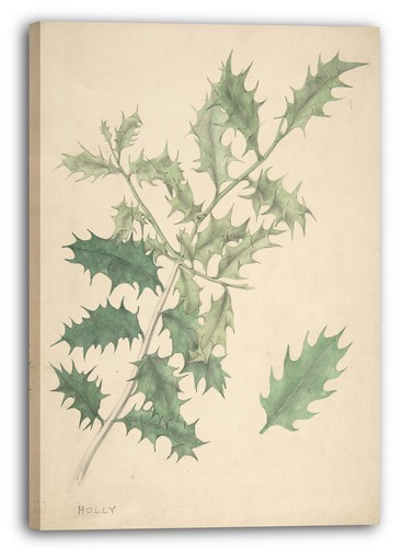 Toile cadres anonyme - toile/cadres,