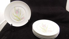 Lot de 6 assiettes plates en