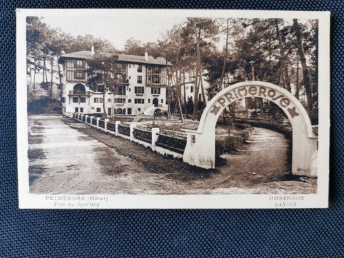 Cpa primerose près du - 40,