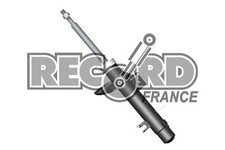 Amortisseur RECORD FRANCE