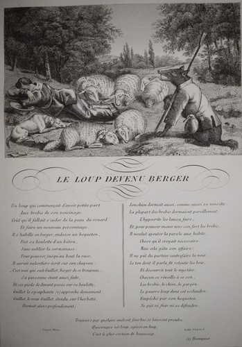 Loup devenu berger - devenu,