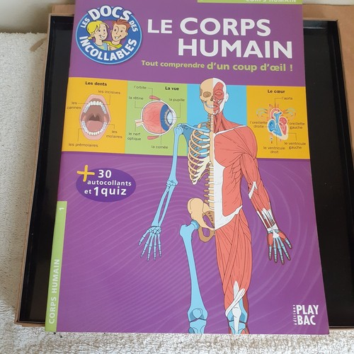 Corps humain les - humain,, "les