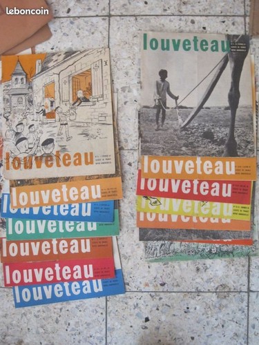 Lot revues louveteau - revues,
