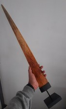 curiosité , taxidermie