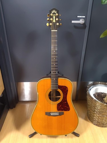 Guild acoustic guitar d62 - guild,