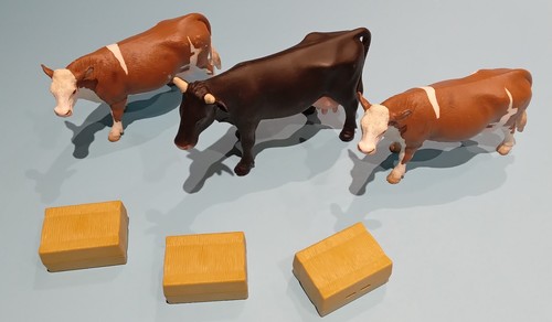 Lot vaches avec bottes de - avec,