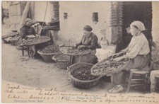 Agen, triage de la prune, artisanat dévolu aux femmes