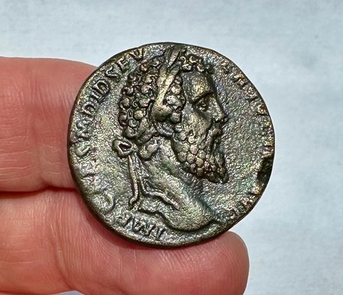 Artefact didus julianus - artefact, /
