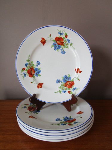 Assiettes plates cm - 6,