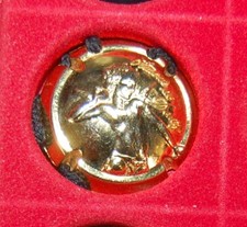 1 Plaque de muselet de