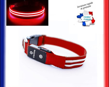 Collier Lumineux LED Pour Chien Rechargeable USB Étanche Réglable 3 modes nuit