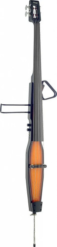 Electric double bass - double, with