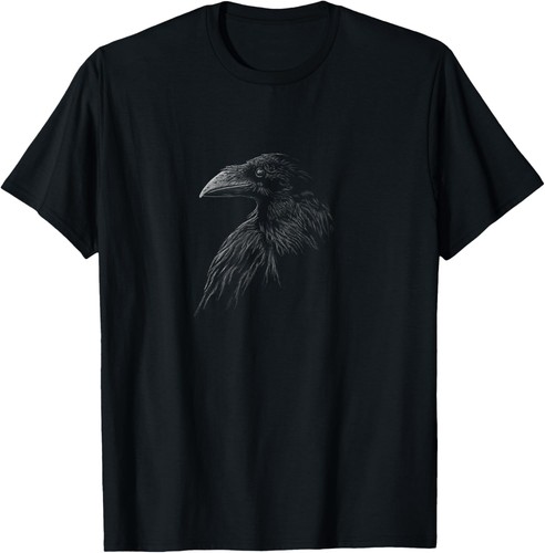 Mystical black raven