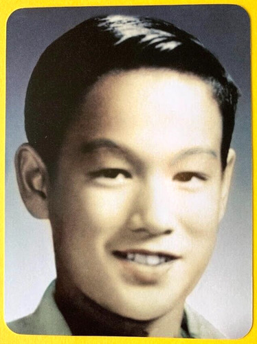 Bruce lee little dragon - lee, "little