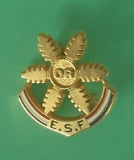 BROCHE INSIGNE ESF/ ECOLE DU