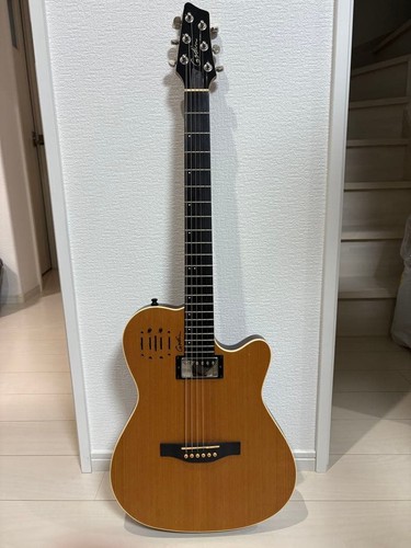 Godin guitars ultra natural - guitars,