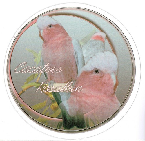 Sticker cacatoès rosalbin - sticker,