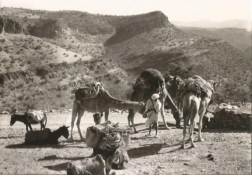 Carte postale portrait maroc - postale,