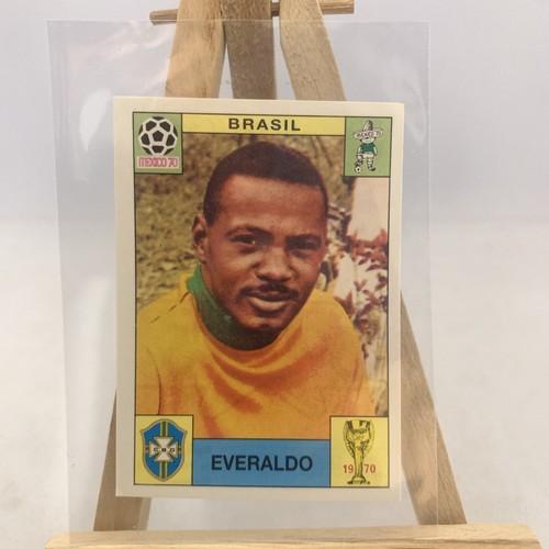 World cup story panini - world,