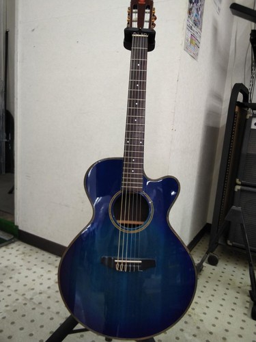 Guitare électrique acoustique