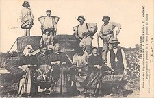 CPA 16 LES VENDANGES DANS UN