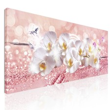 Cadre Botanique Fleurs D'Orchidées Blanches Sur Fond Rose , bow16 tableau impre