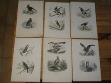 Lot de 6 gravures originales