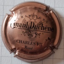 capsule de champagne