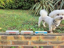 train électrique ho 2 wagons