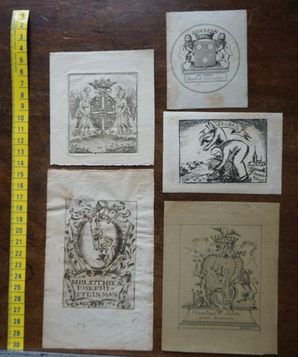 Lot 5 - lot, de