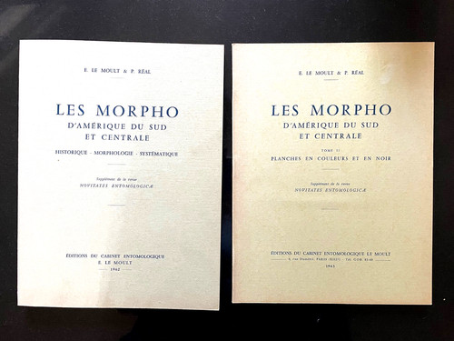 Les morpho amérique sud - du,
