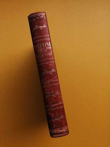 Das leben der tiere - das, tiere,