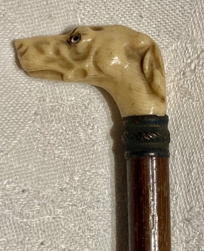 Pommeau canne tête de - ,