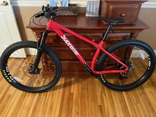Supreme Santa Cruz Chameleon