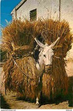Animaux - Anes - Bourricot chargé de blé - CPM - Voir Scans Recto-Verso