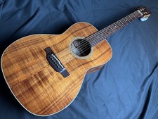 Guitare acoustique électrique