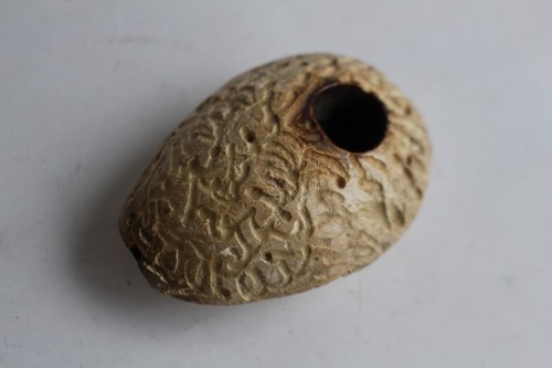 Ancienne pipe écume sculptée - écume,