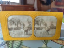 VUE STEREOSCOPIQUE ALBUME GROUPE DE GENRE GROUPE FEMME 1 HOMME SALON FIN 19 EM