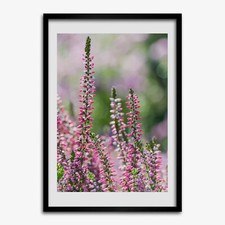 Photo Le salon 50x70cm Cadre