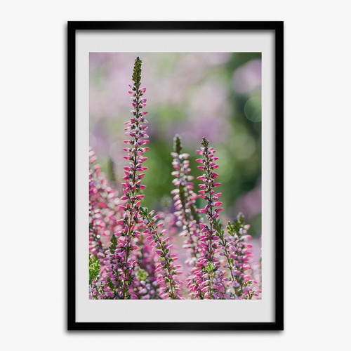 Photo salon 50x70cm cadre - 50x70cm,